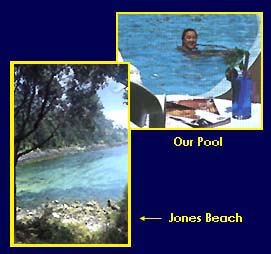 Beach or Pool