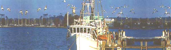 Fishing Boats
