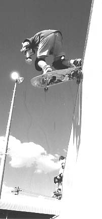 photo8