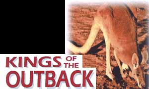 Kings of the Outback