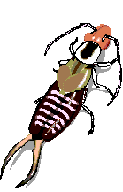 EARWIG