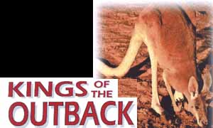 Kings of the Outback