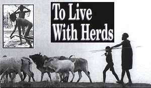 To Live With Herds